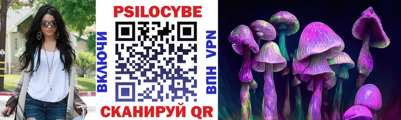 Купить  Морозовск  Галлюциногенные грибы Psilocybe 